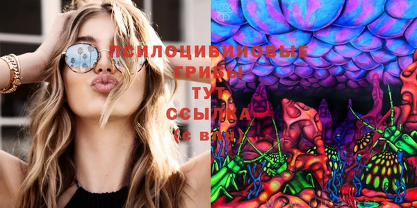 стаф Зеленодольск