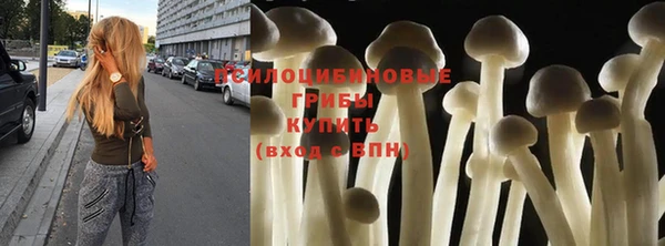 шишки Зеленокумск