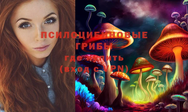 стаф Зеленодольск
