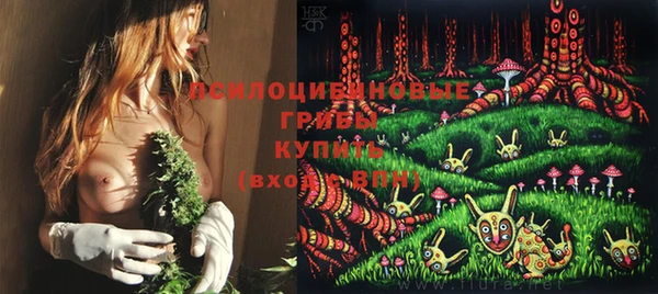 шишки Зеленокумск