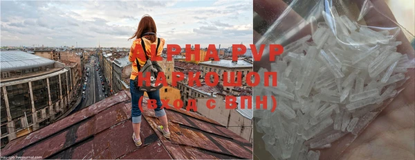 стаф Зеленодольск