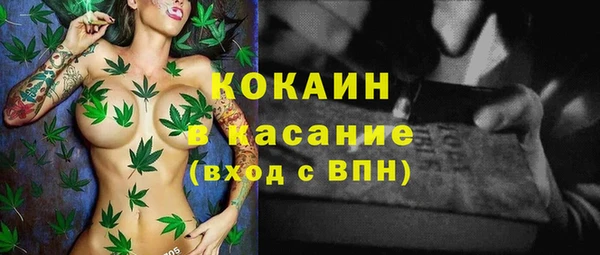 шишки Зеленокумск
